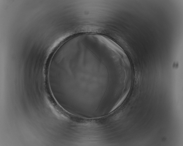 X0000110720674200906261456