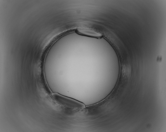 X0000110720676200906261456