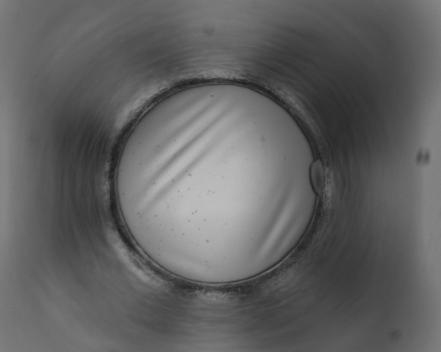 X0000110720677200906261456