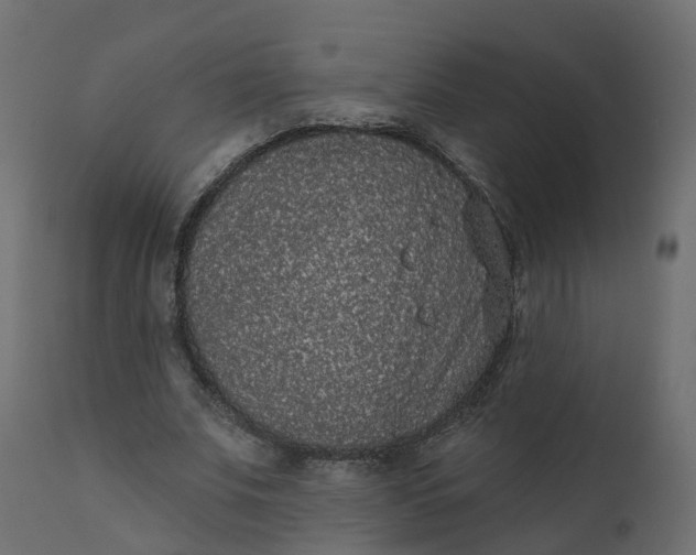 X0000110720679200906261456