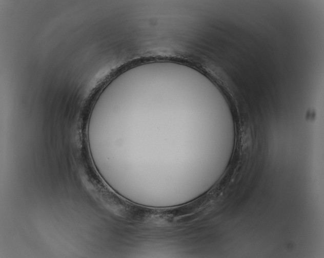 X0000110720680200906261456