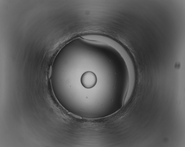 X0000110720681200906261456