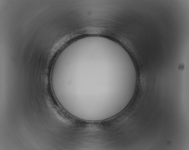 X0000110720682200906261456