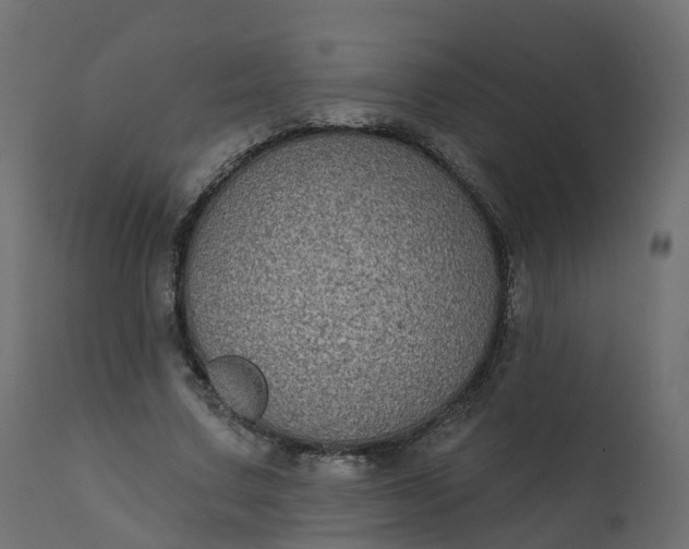 X0000110720683200906261456