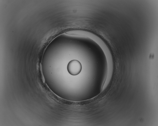 X0000110720685200906261456