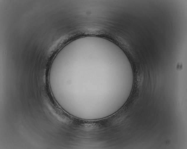 X0000110720686200906261456