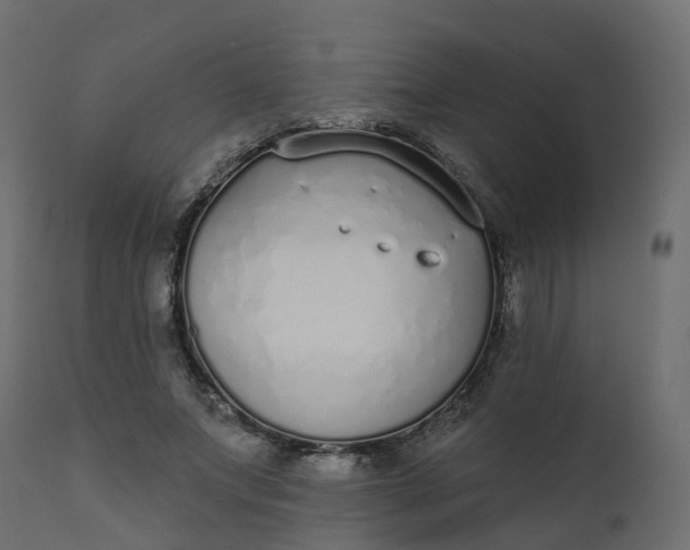 X0000110720687200906261456