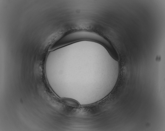 X0000110720688200906261456