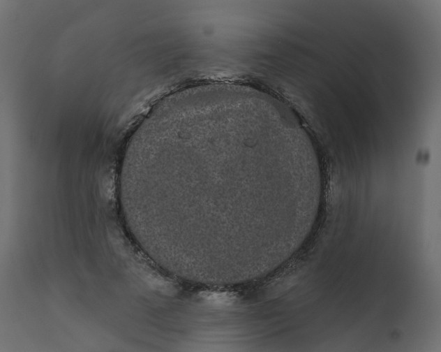 X0000110720689200906261456