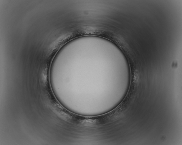 X0000110720691200906261456