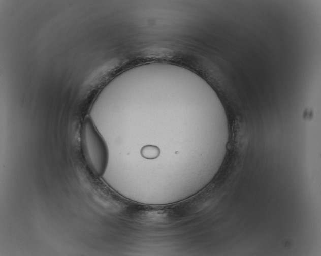 X0000110720692200906261456