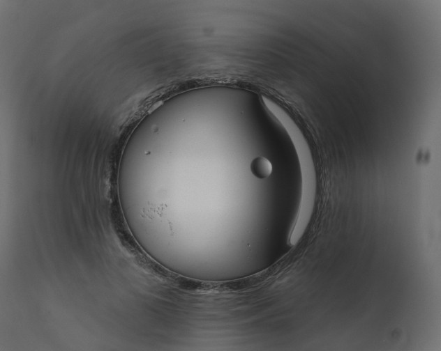 X0000110720693200906261456