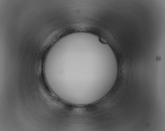 X0000110720694200906261456