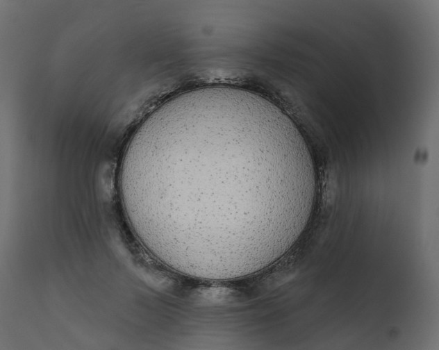 X0000110720695200906261456