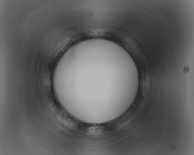 X0000110720700200906261456