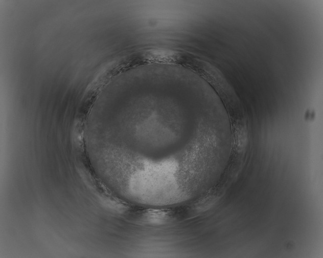 X0000110720701200906261456