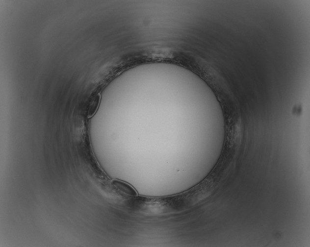 X0000110720704200906261456