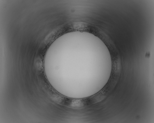 X0000110720705200906261456