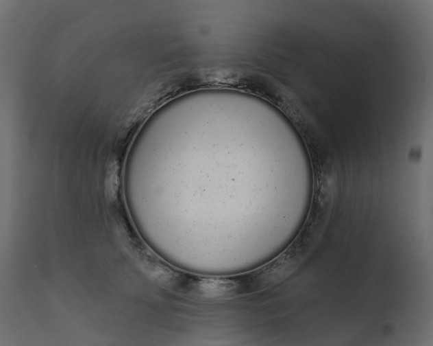 X0000110720707200906261456