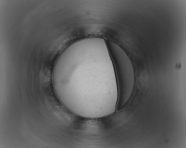 X0000110720708200906261456