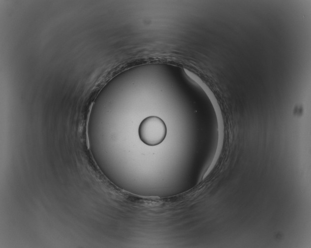 X0000110720709200906261456