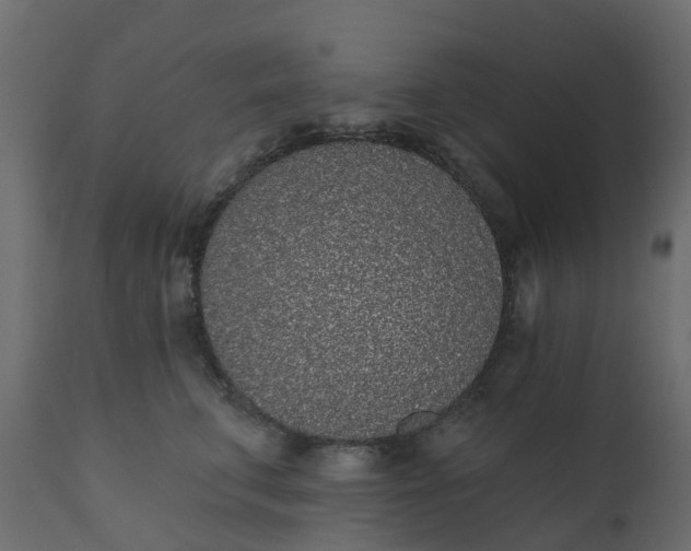 X0000110720711200906261456