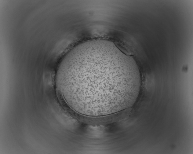 X0000110720712200906261456