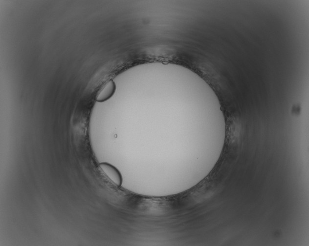 X0000110720713200906261456