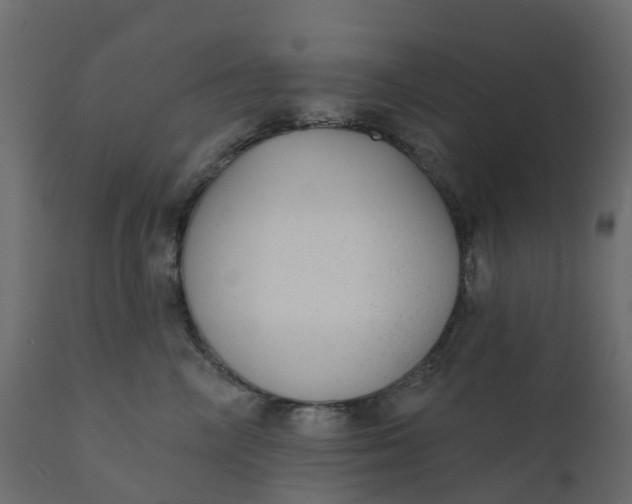 X0000110720714200906261456