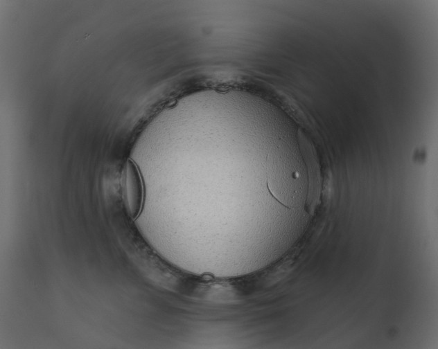 X0000110720715200906261456