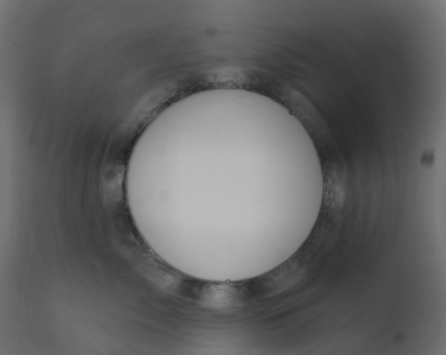 X0000110720717200906261455