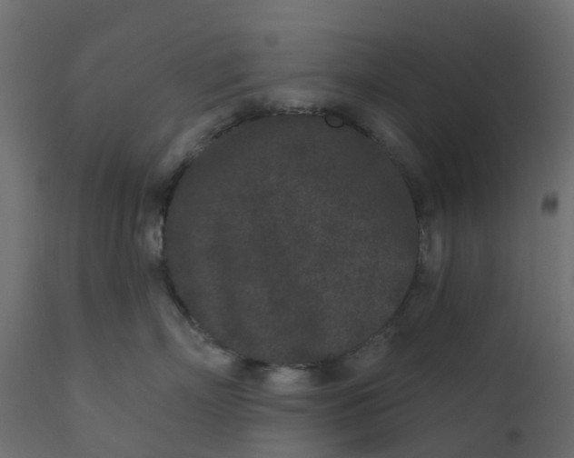 X0000110720718200906261455