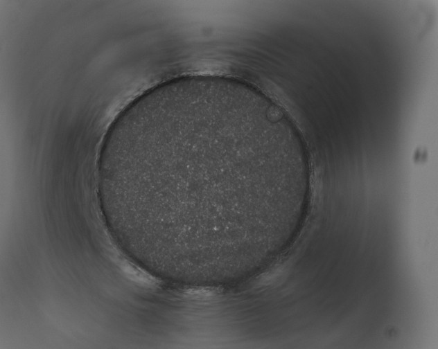 X0000110720721200906261455