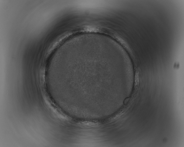 X0000110720722200906261455