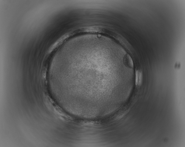 X0000110720723200906261455