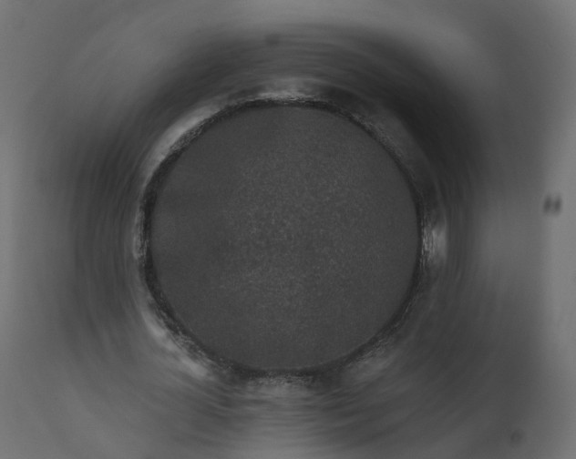 X0000110720724200906261455