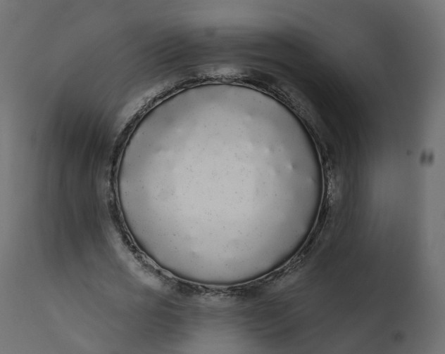 X0000110720725200906261455