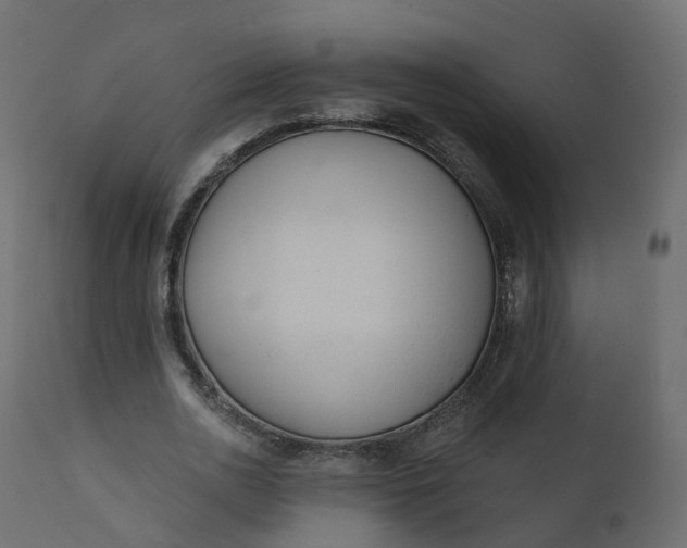 X0000110720726200906261455