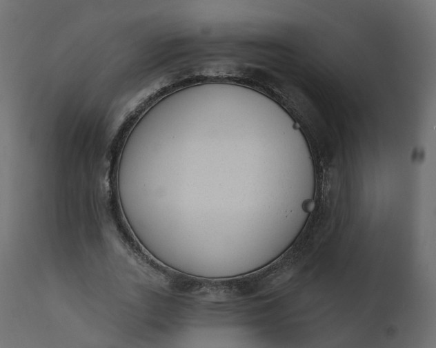 X0000110720727200906261455