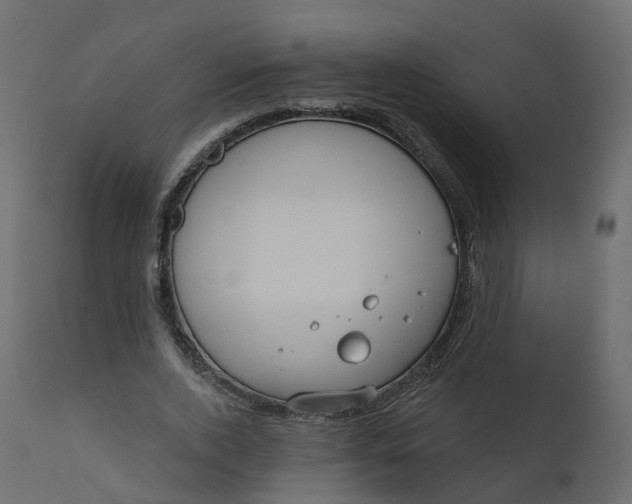 X0000110720728200906261455