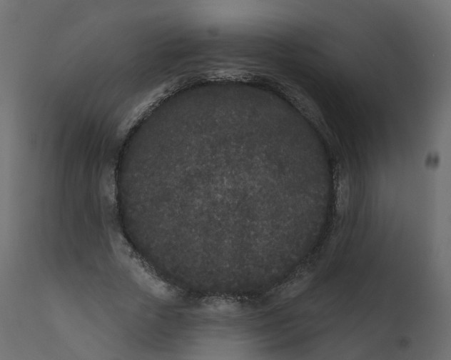 X0000110720729200906261455