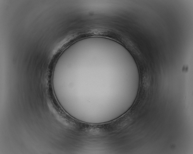 X0000110720730200906261455