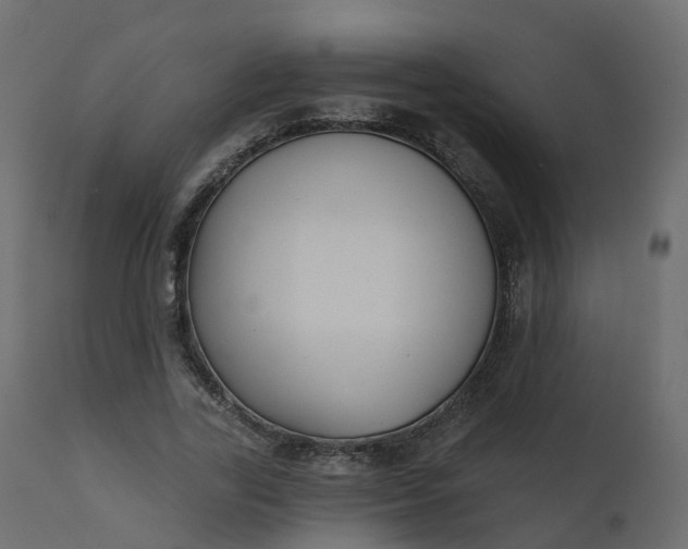 X0000110720731200906261455