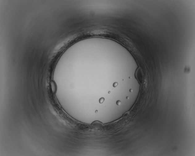 X0000110720732200906261455