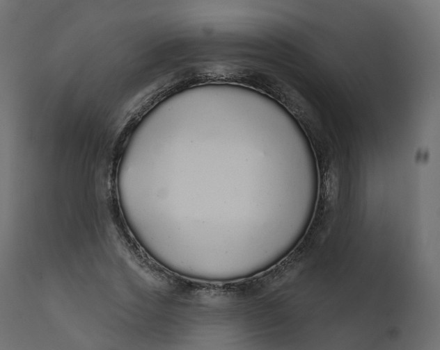 X0000110720733200906261455