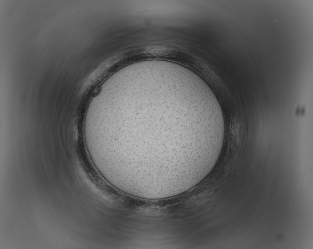 X0000110720734200906261455