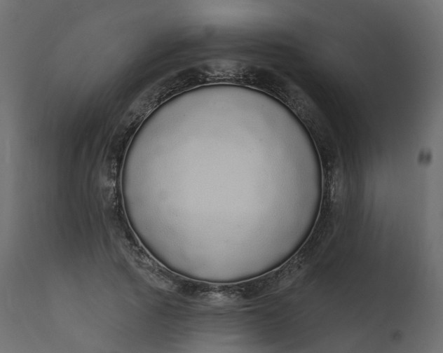 X0000110720737200906261455