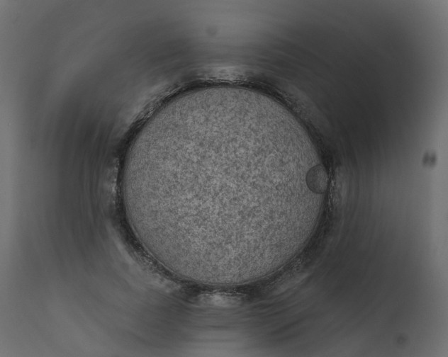 X0000110720739200906261455