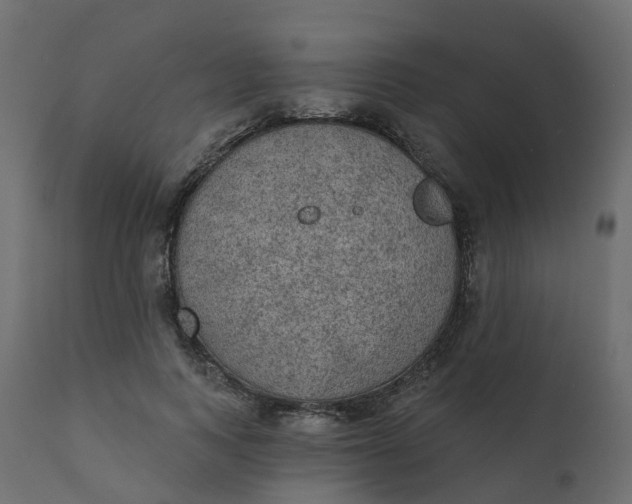 X0000110720743200906261455