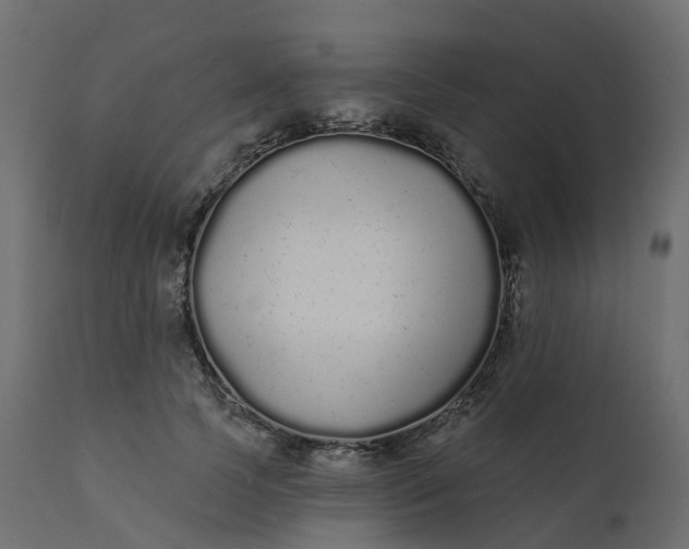 X0000110720745200906261455